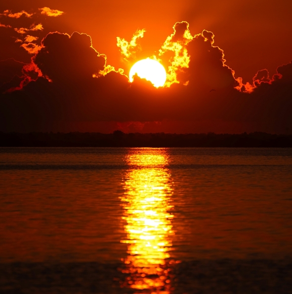 Meet your Posher, - Picture 7 of 8